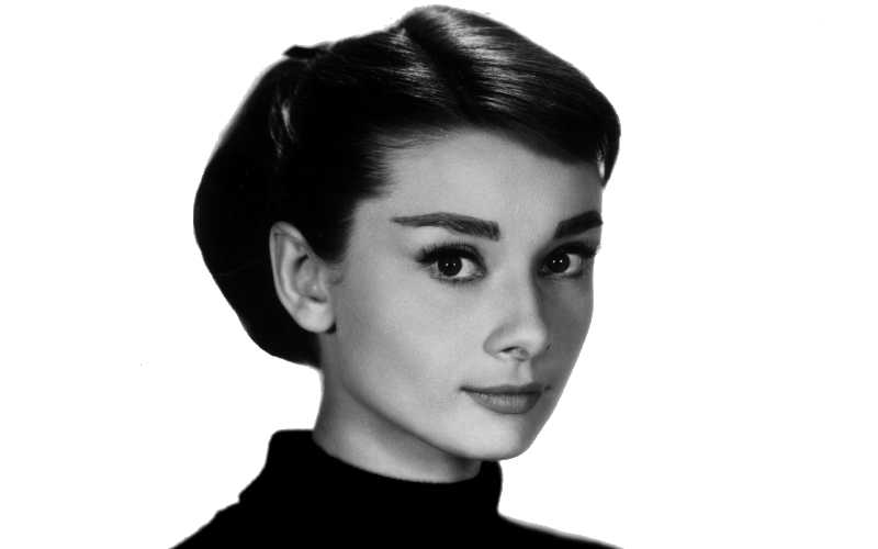 Audrey Hepburn Wig